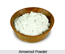 Arrowroot