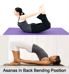Asanas in Bending Position, Yoga Asanas