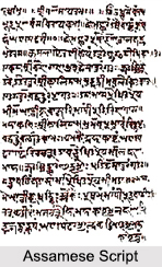 Assamese Language, Languages of India