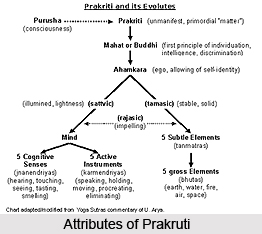 History and Philosophy of Ayurveda