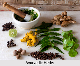 Indian Medicine in Post Vedic Period