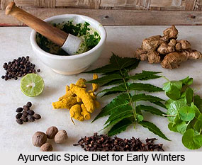 Ayurvedic Diet for Indian Seasons