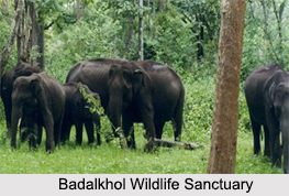 Wildlife Sanctuaries of Chhattisgarh