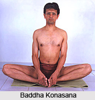 Hatha Yoga Asanas