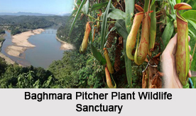 Wildlife Sanctuaries of Meghalaya