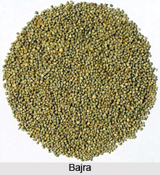 Sprouts in Naturopathy