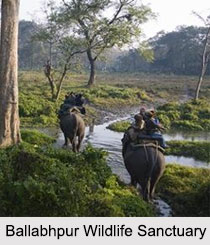 Wildlife Sanctuaries of Eastern India