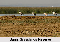 Reserved Forests in India