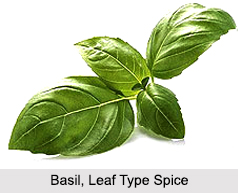 Types of Spices, Indian Food