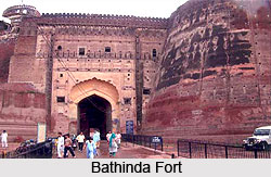 Forts in Punjab