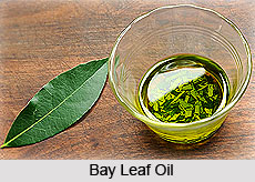 Bay Oil