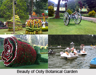 Visiting places in Udhagamandalam (Ooty)