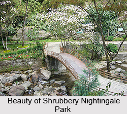 Shrubbery Nightingale Park, Darjeeling District, West Bengal