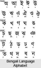 Bengali Language