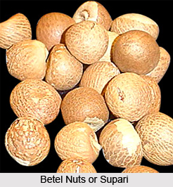 Supari, Gubak, Indian Medicinal Plant