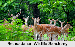 Wildlife Sanctuaries of West Bengal