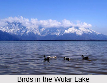 Wular Lake