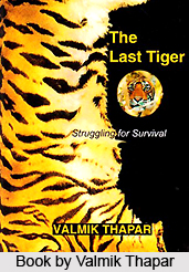 Valmik Thapar, Indian Conservationist