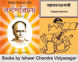 Ishwar Chandra Vidyasagar, Indian Freedom Fighter