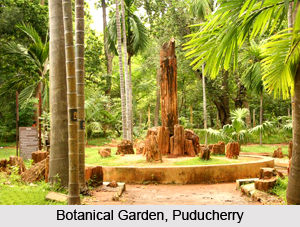 Tourism In Puducherry