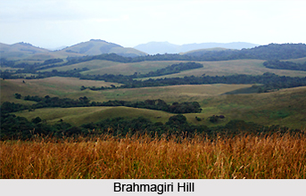 Nature Tourism In Kodagu District, Karnataka