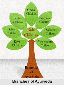 Ayurveda