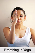 Practice of Yoga Asanas