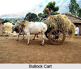 History of Indian Villages