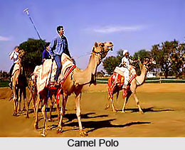 Types of Polo