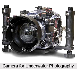 Underwater Photography  in India