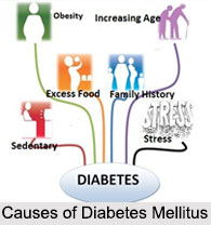 Diabetes Mellitus, Blood Related Ailment