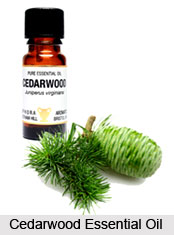 Treatment of Hair Fall by Aromatherapy