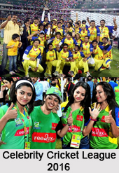Celebrity Cricket League