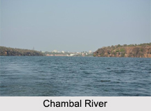 Kota, Kota District, Rajasthan