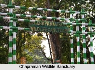 Nature Tourism in West Bengal