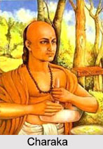 Charaka Samhita, Ayurveda