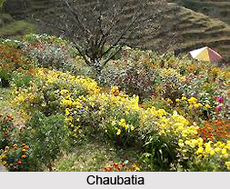 Tourism in Ranikhet