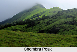 Wayanad, Indian Hill Station