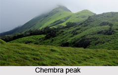 Mountain Peaks of India