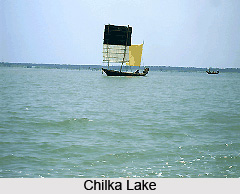 Ganjam district , Orissa
