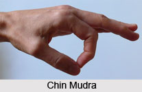 Jnana Mudra and Chin Mudra