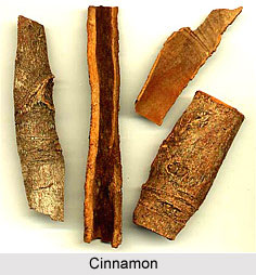 Ayurvedic Spices