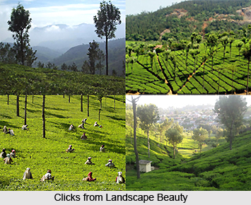 Geography of Nilgiris District