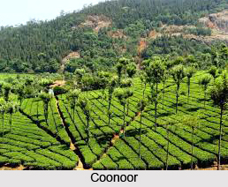 Tourism in Nilgiris District