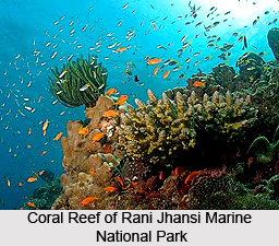 Rani Jhansi Marine National Park, Andaman and Nicobar Islands