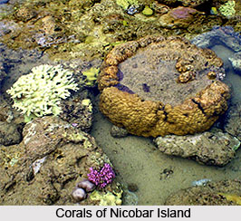 Nicobar Islands