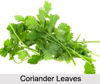 Coriander, Types of Spice