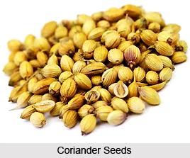 Dhania, Indian Medicinal Plant