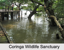 Wildlife Sanctuaries of Andhra Pradesh