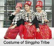 Singpho Tribe, Tribes of Arunachal Pradesh